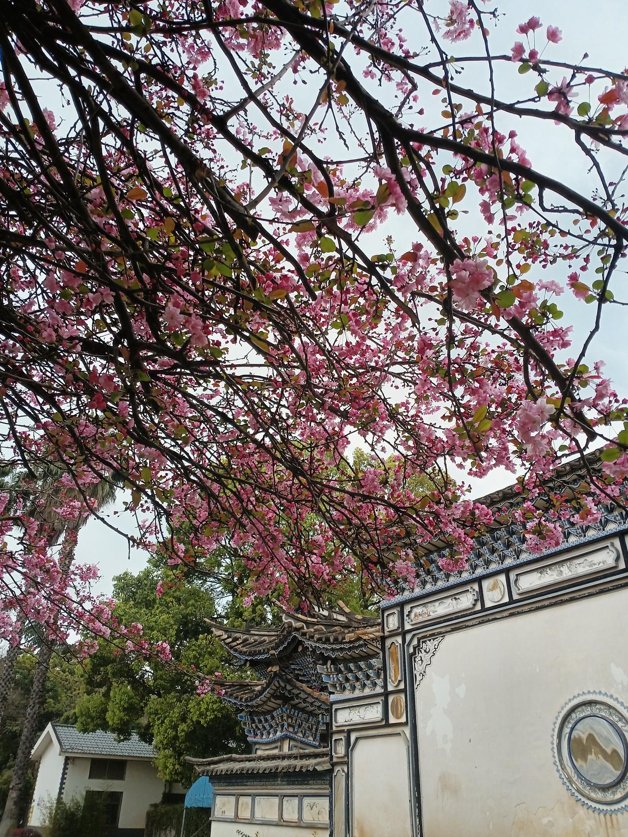 周六再度传来重大消息，一同探讨3月市场主线！周六新消息如下：一、据媒体报道，