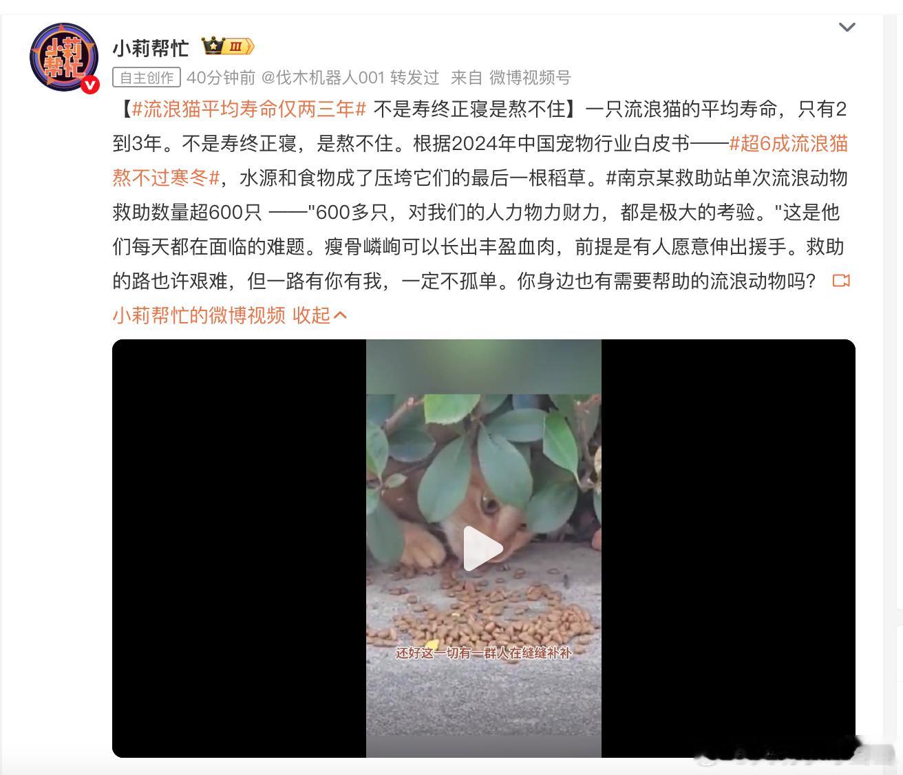 【流浪猫平均寿命仅两三年】【超6成流浪猫熬不过寒冬】媒体真是闲得发慌。大夏天的，