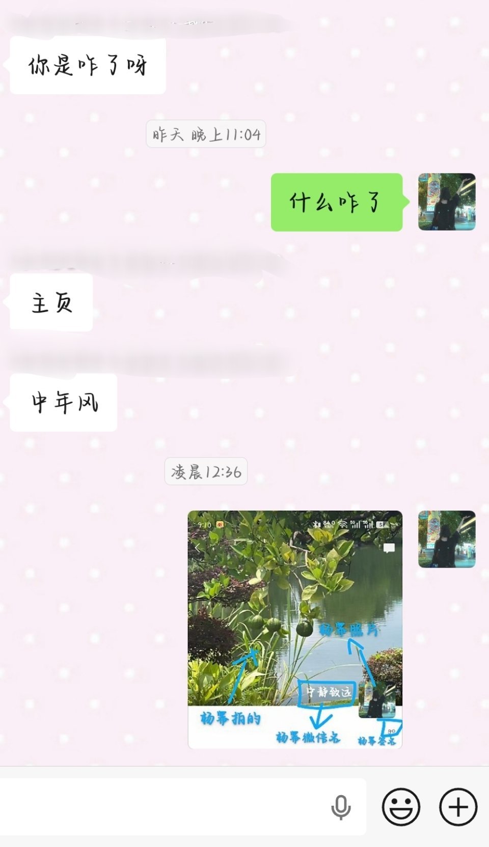 你非常荣幸加到了杨幂本人