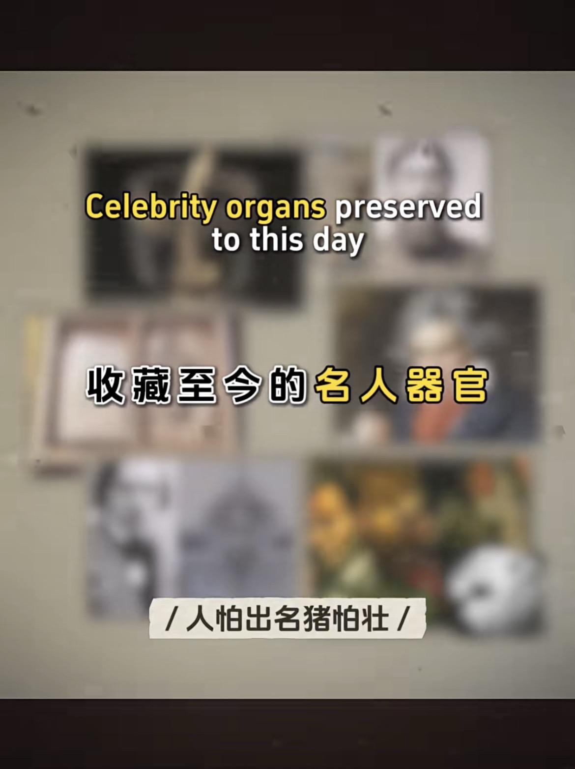 奇葩收藏