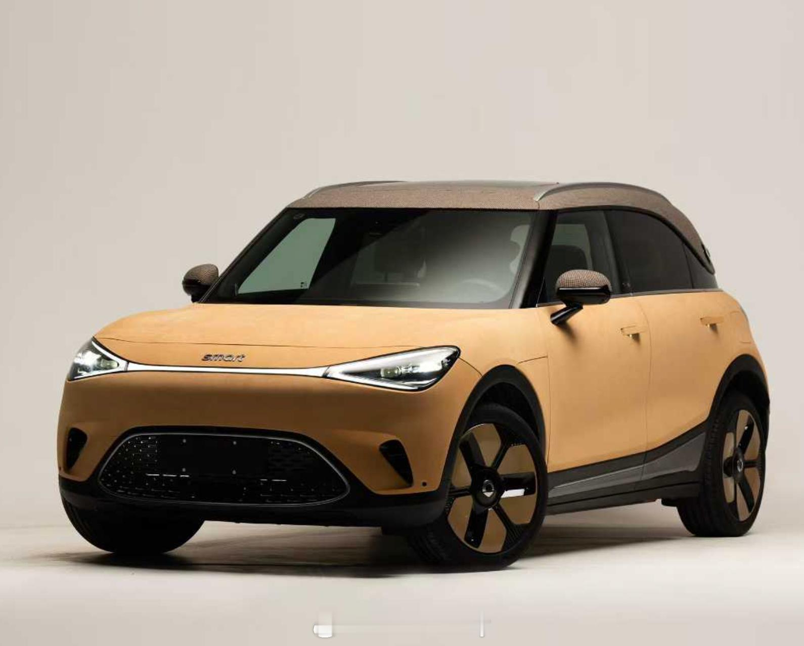 这年头见着个性的真难~~smart精灵1号又来个联和创作行！这年头拉情绪价值还得