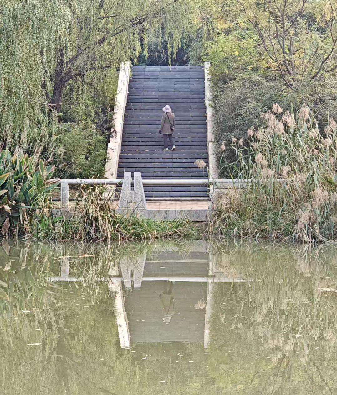 冬日生活随拍秋意浸在水边，石阶驮着行人往深处走。风摇着柳丝，把身影揉进水里，连脚