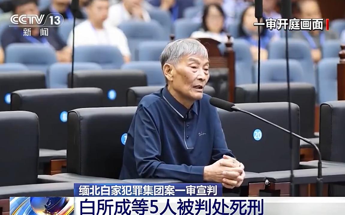 白所成一直低头不敢看镜头！白所成的脸色，已经是非常差了，即使不判死刑，也很难说