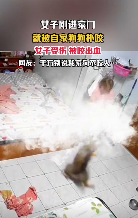江苏，近日一女子进到屋里和爱犬打招呼，但上一秒狗子见女子后还摆尾示好，不料下一秒