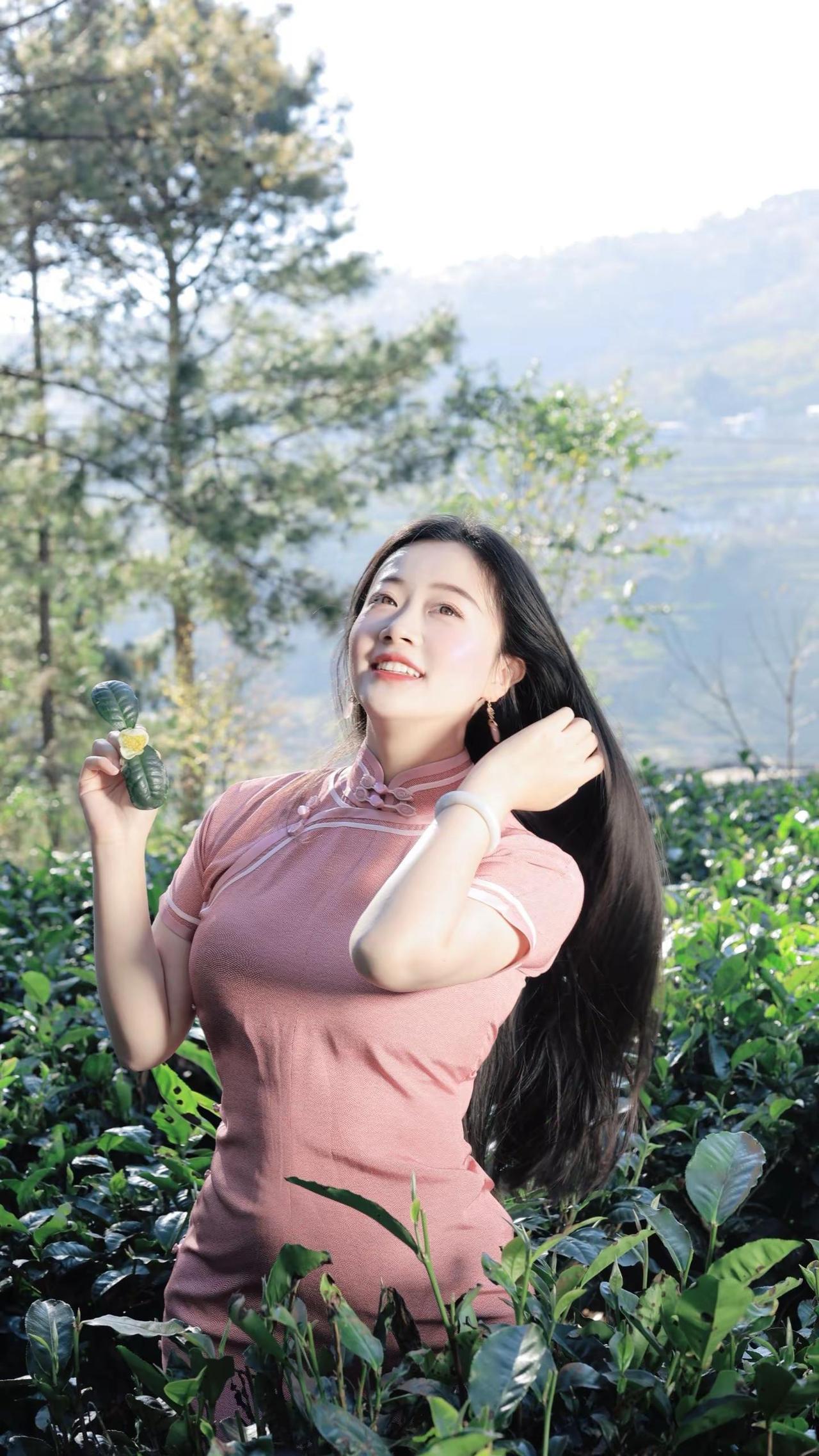 如果你来了云南，可否将我送你的茶花带走