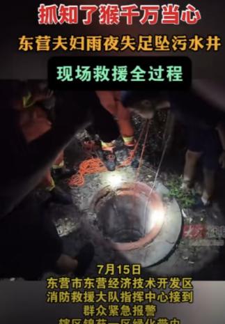 山东东营，一对夫妇雨后外出找知了猴，丈夫跟妻子分头找，结果妻子没有注意到绿化带内