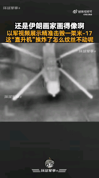 伊朗的画家立了一大功，他只是在地上画了一架飞机，由于画的太像了，太逼真了，栩栩如