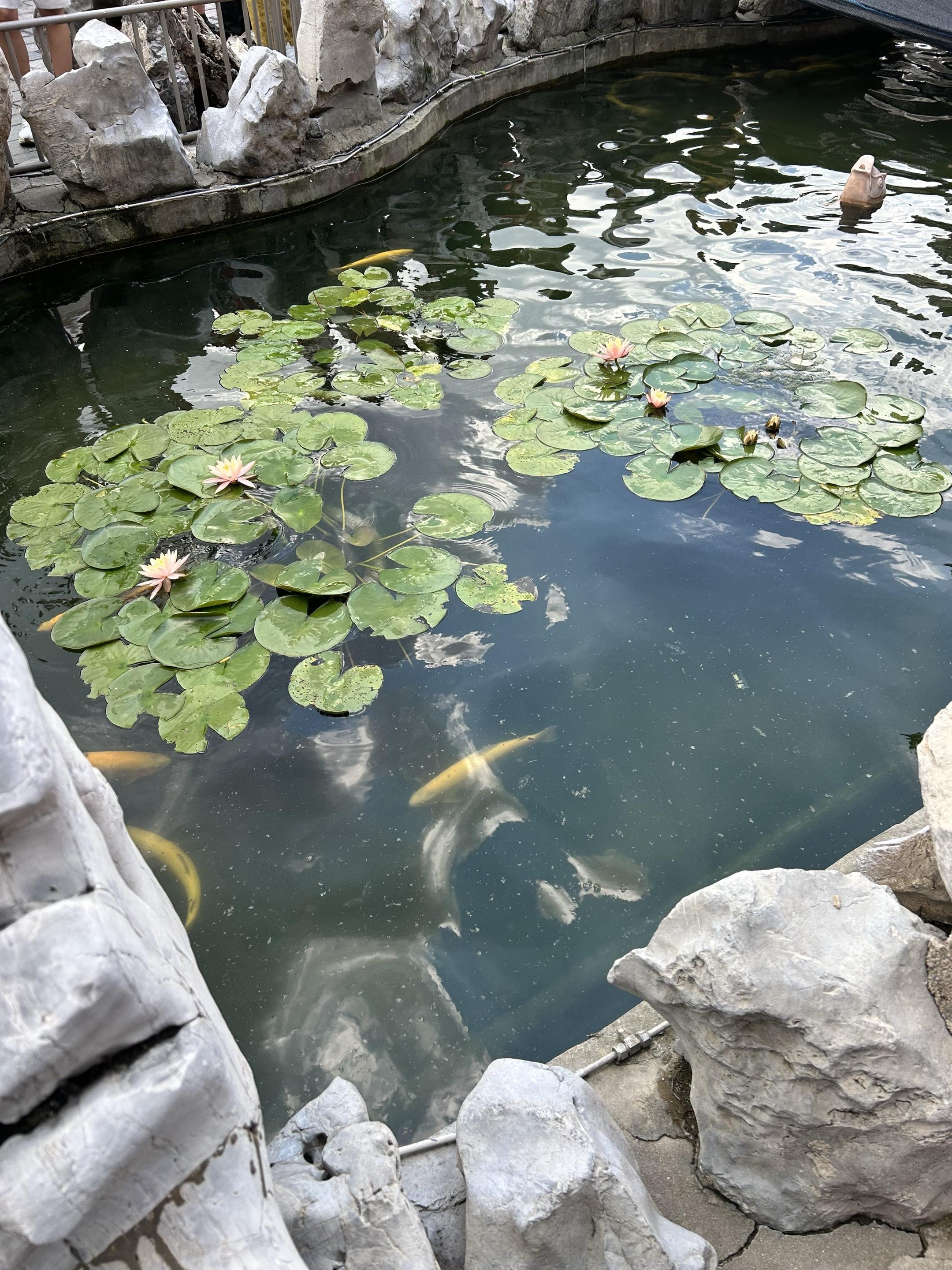 《难抵吾妹多娇》by水初影 温柔拧巴公主vs隐忍克制太子 伪骨科/高冷...