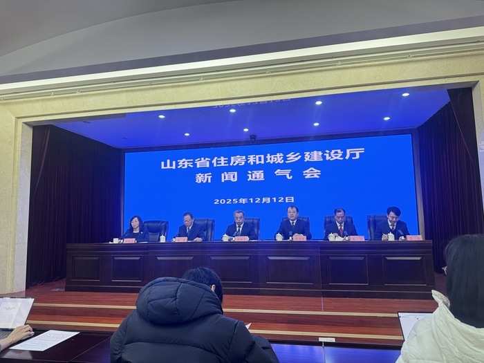 从6方面推出15条措施, 山东住房“以旧换新”有了官方指南