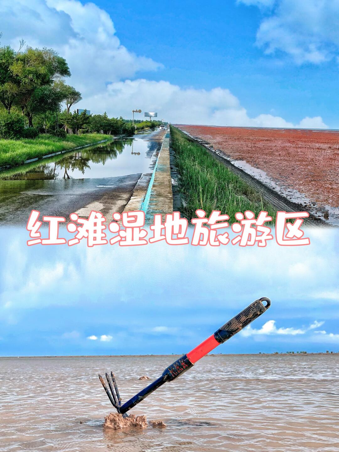 山东竟有免费的红色海滩，是赶海拾贝好去处