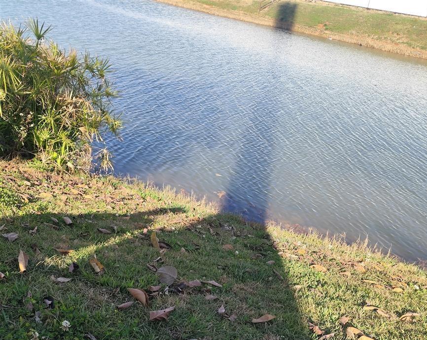 嫂子爸爸生病，我爸妈知道，没去看望，我爸给嫂子转了600块钱，让嫂子给她爸爸买点