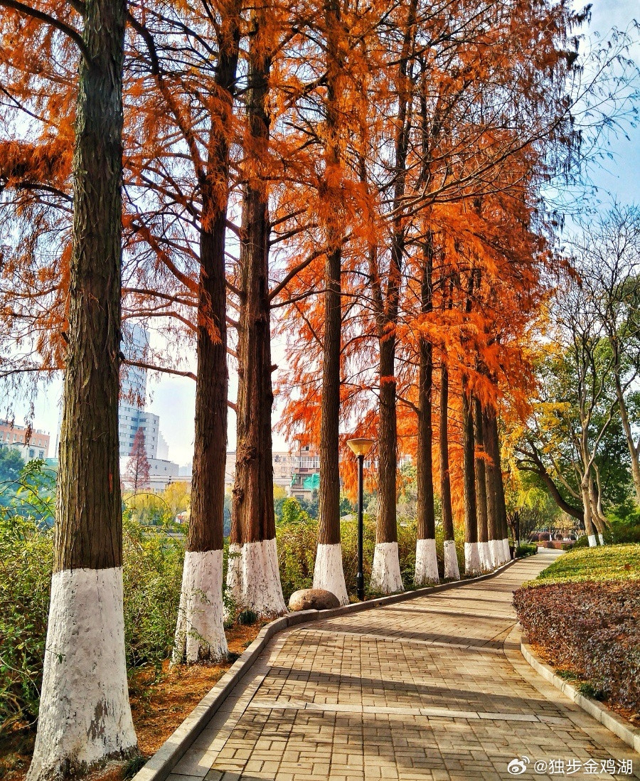 心里话豁达是大度和宽容。