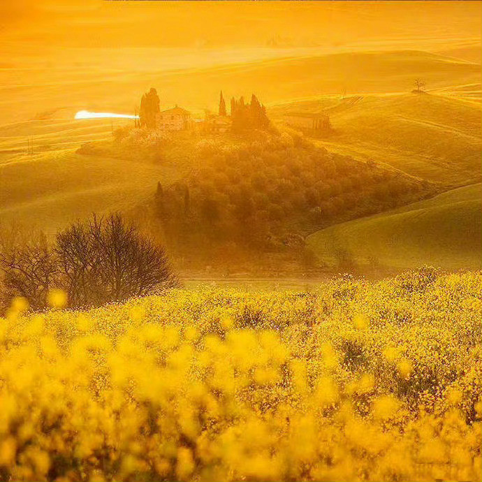 意大利田园小镇Tuscany，油画里的美景！​​​​​