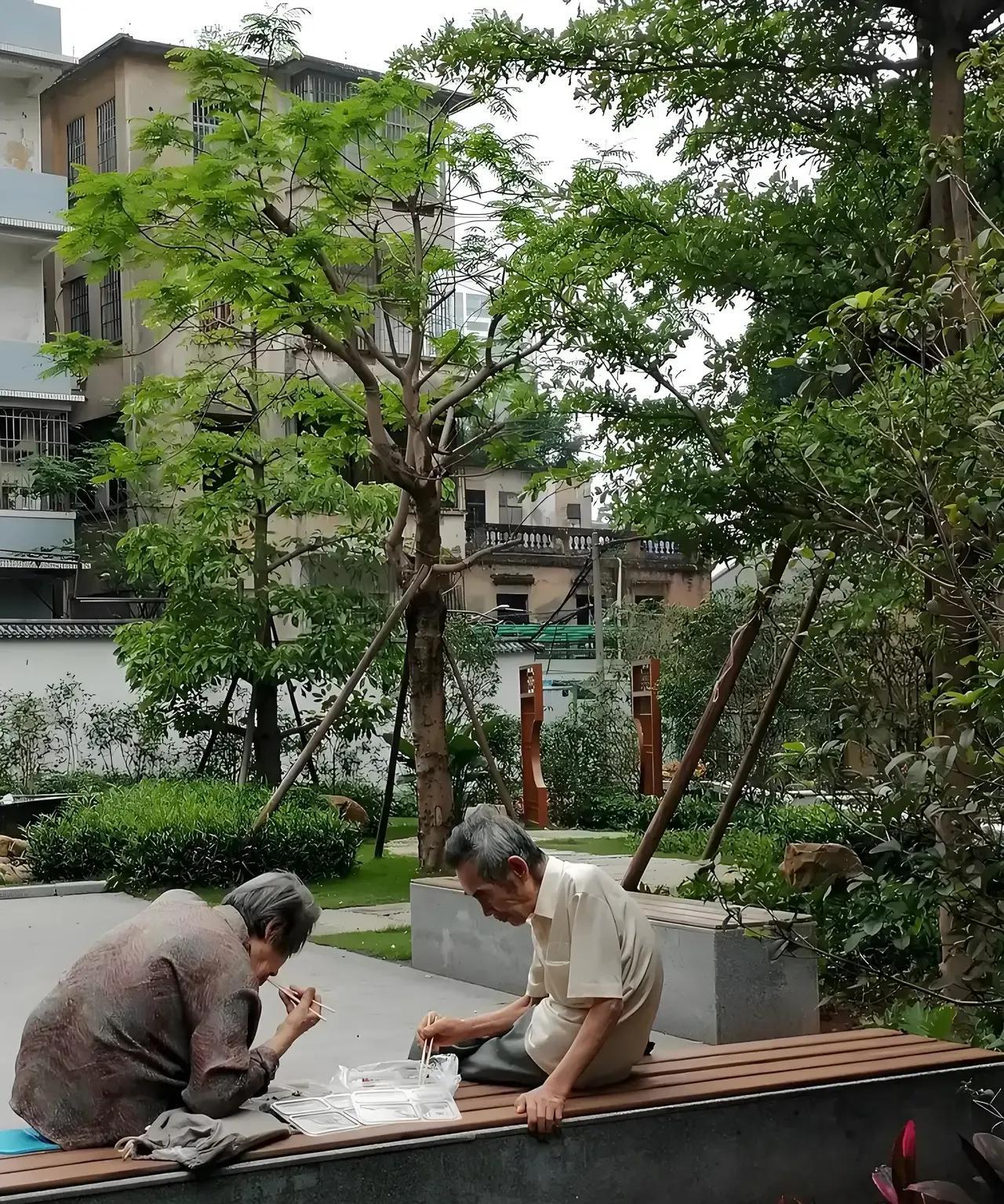 周氏兄弟的家族裂变从兄弟情深到伦理崩塌：一场跨国婚姻引发的家族危机周氏三兄弟
