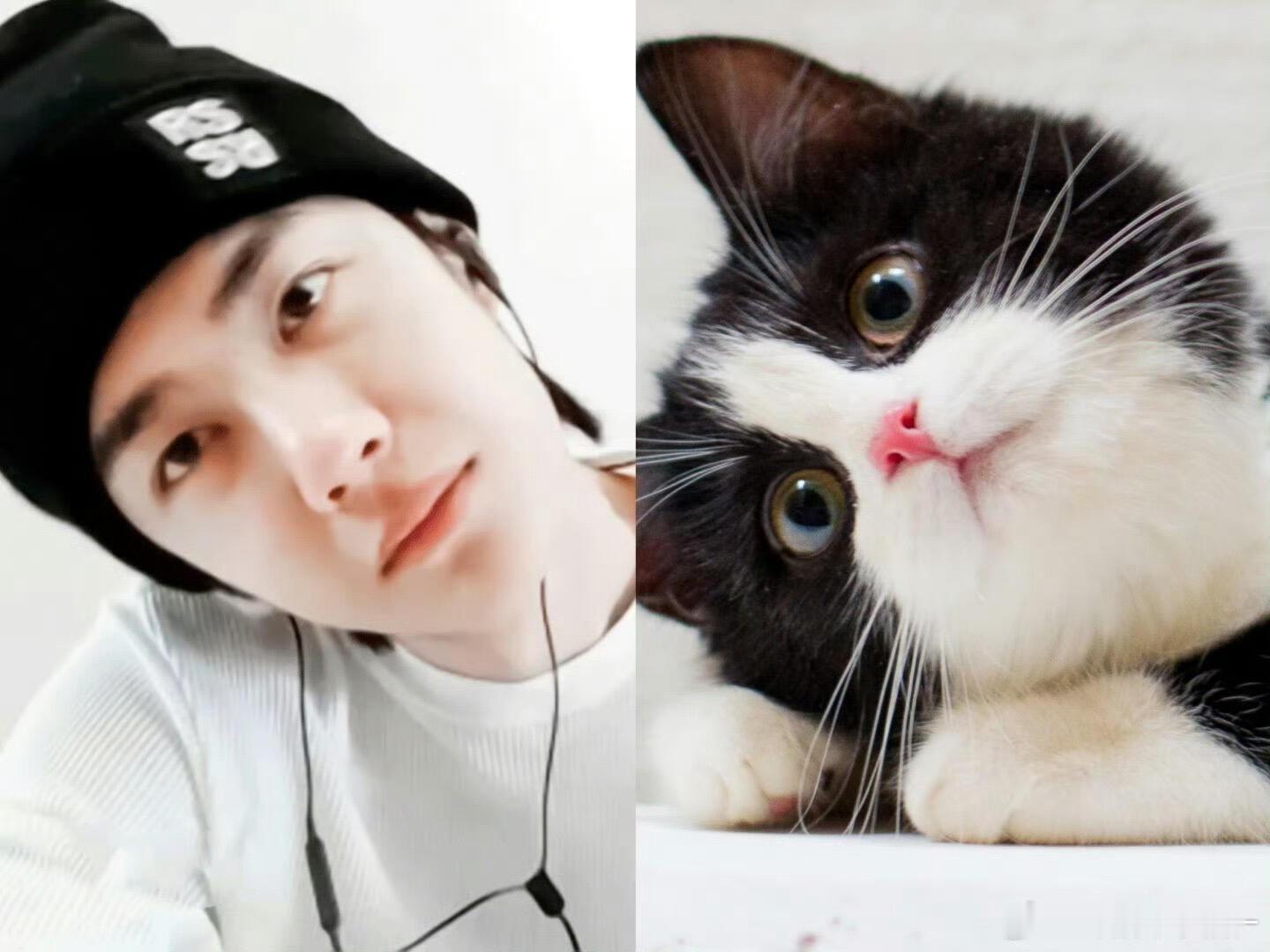 这个王一博是小猫变得吧​​​