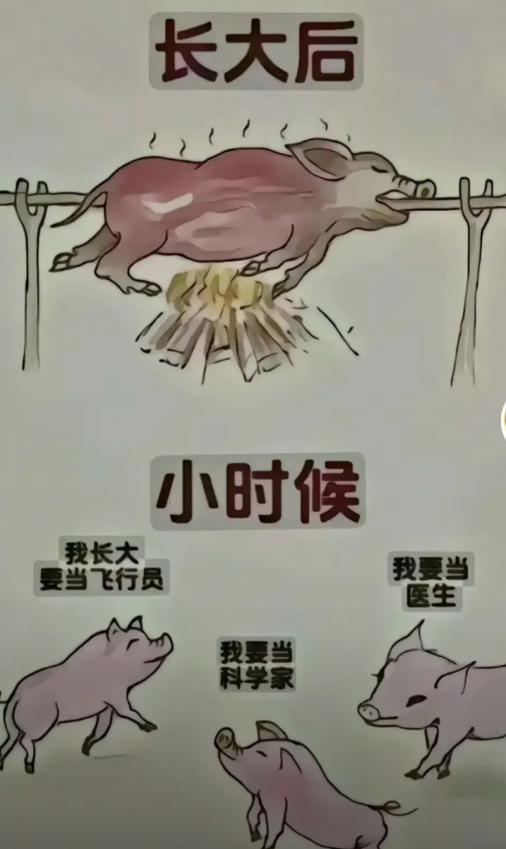 梦想与现实的距离，大多数人都是这样的真实写照！