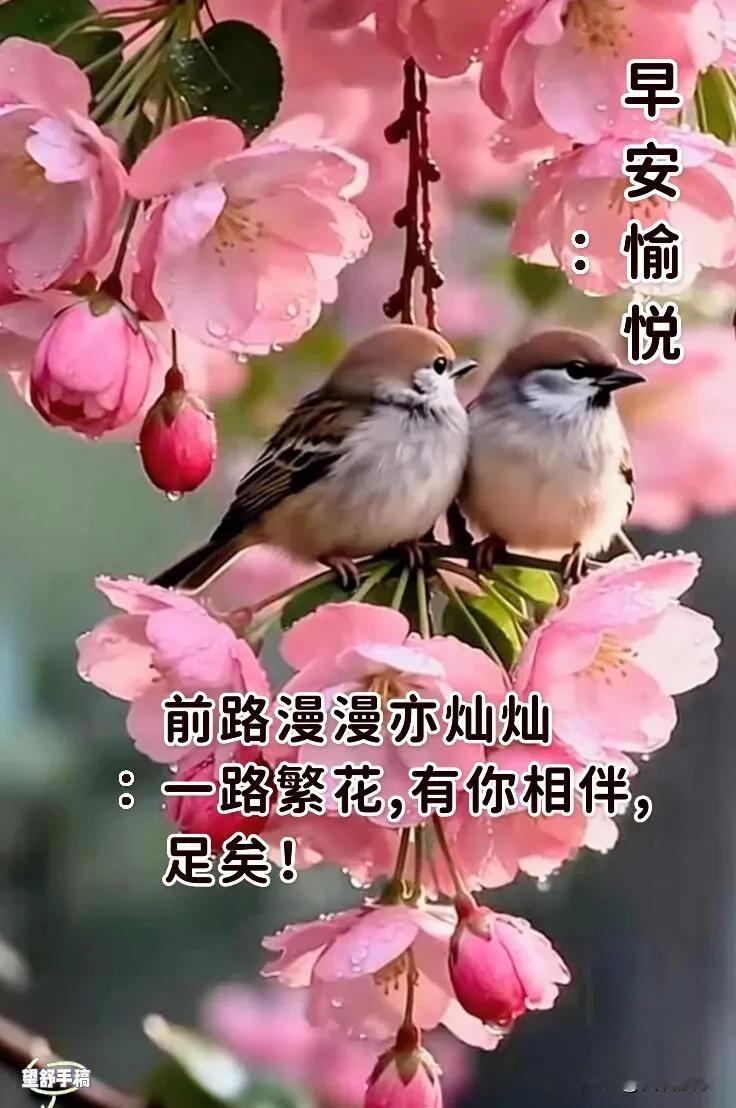把春天的温柔装进心里，带着轻松与欢喜，开启崭新的一天，早安。