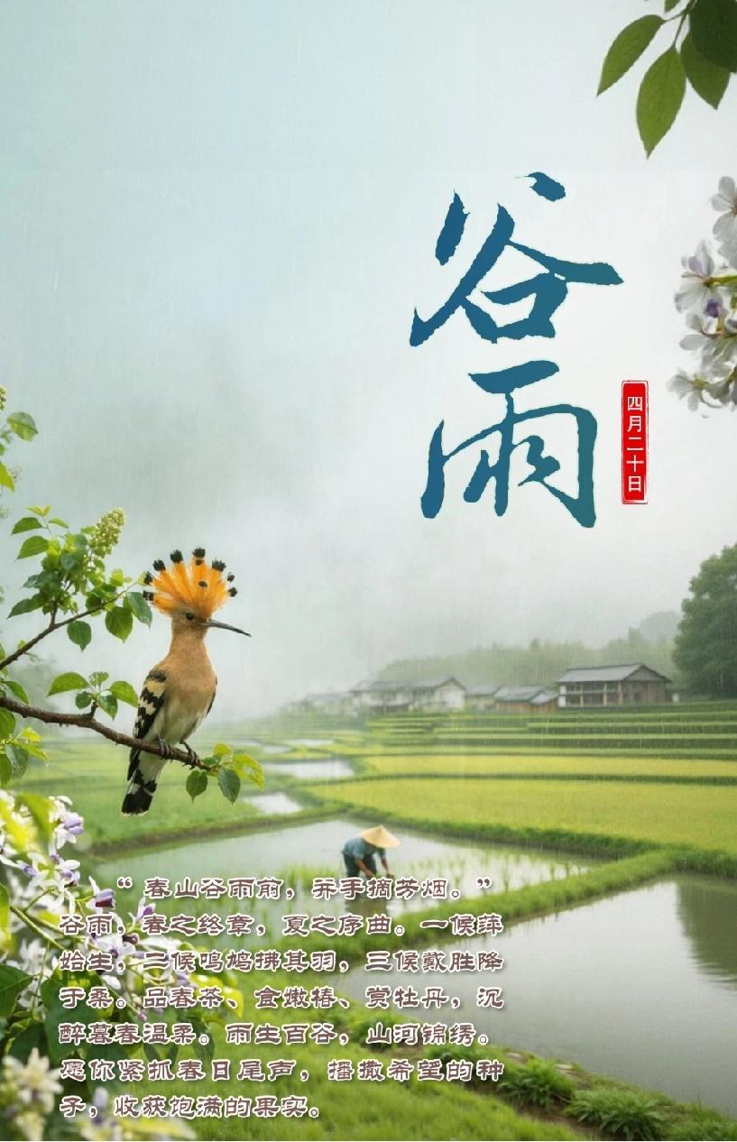 今日谷雨谷雨，是春的告别，也是夏的序曲。它催促万物生长，也提醒我们：