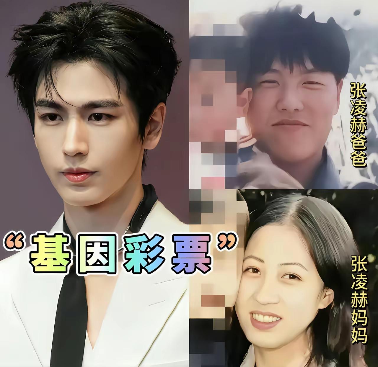 父母一般，孩子逆天颜值的家庭我想知道她们生孩子的时候，到底是头朝哪磕的？张凌