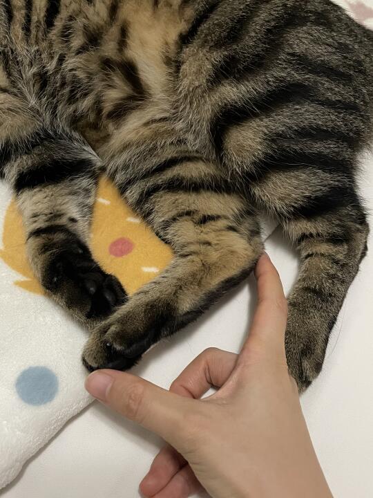 这是多大脚啊？
