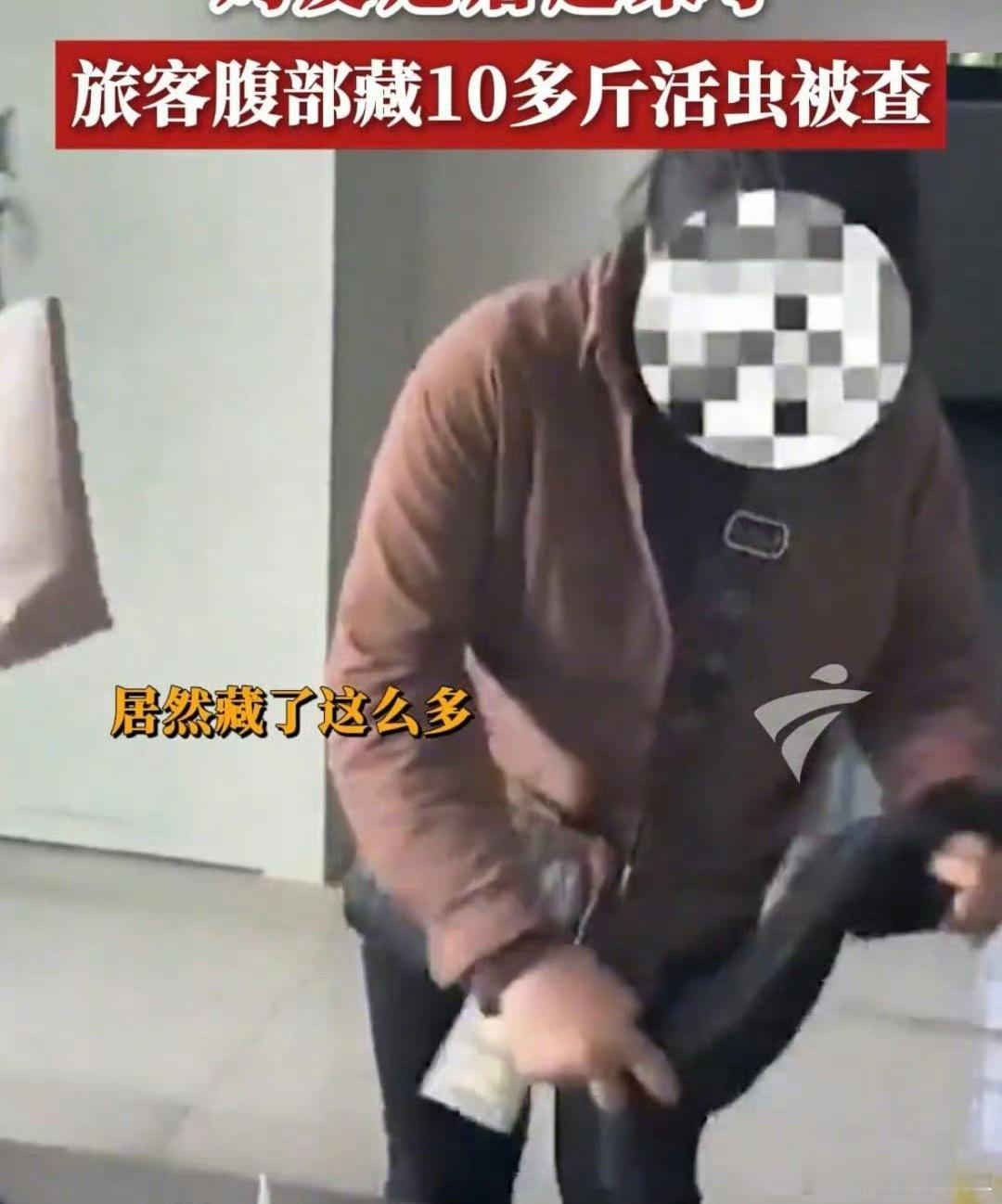 女子裤子内藏2斤多活虫入境带这个来干嘛细思极恐海关还是要严查啊这也太吓人了