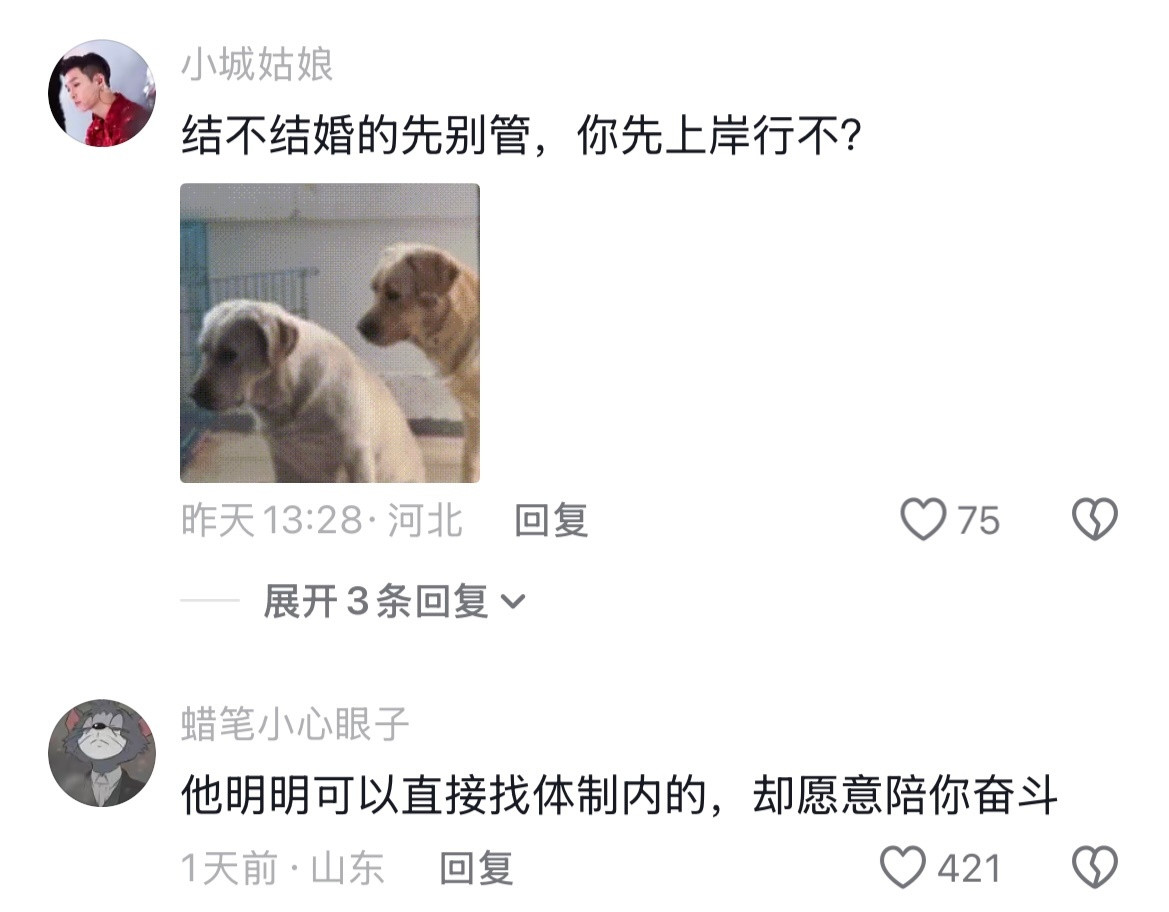 评论区没有对婚姻的考量全是对上岸的渴望