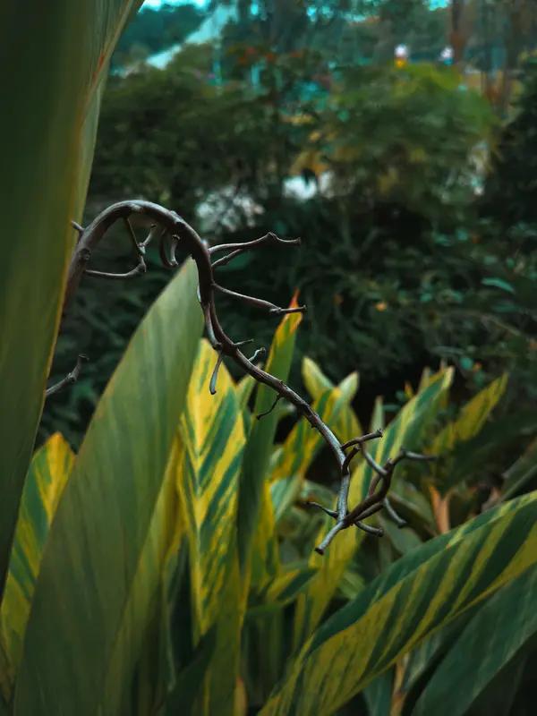 你认为,灵魂的本质是什么?灵魂的本质，从古至今都是个深奥谜题。不同的宗教和哲学