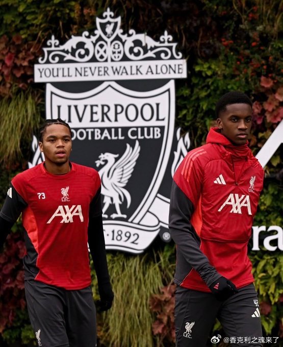 尼奥尼和恩古莫哈双双入选英格兰U19国家队大名单，将在即将到来的国际比赛日间歇期