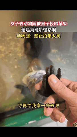 “没想到！”内蒙古，一女子去动物园看猴，期间发现一只单独关着的小猴子特别可爱，于