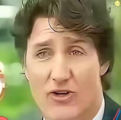 特鲁多当众摊牌！美国的霸道，把加拿大逼向了中国加拿大前总理特鲁多，对着新加