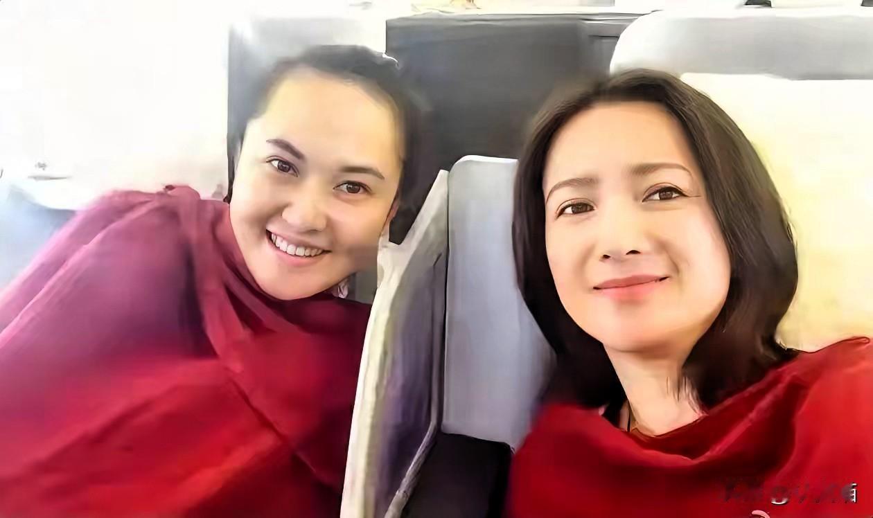 看完何晴好友徐松子的悼文，我才知道，许何14岁搬出父亲家，根本不是因为叛逆。谁