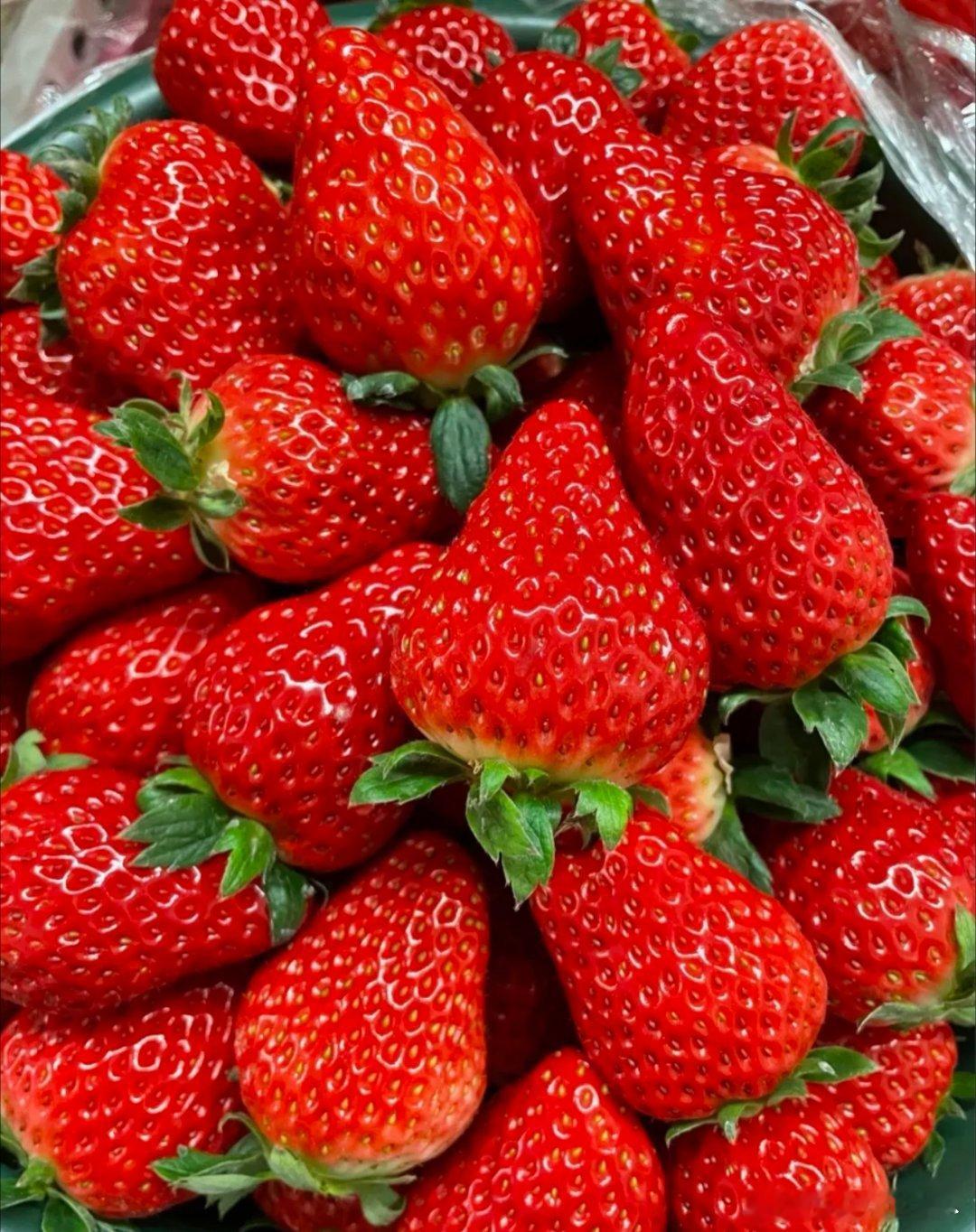 草莓种植方法一、选种与育苗-选种：选择抗病性强、果实饱满的品种，如红颜、章