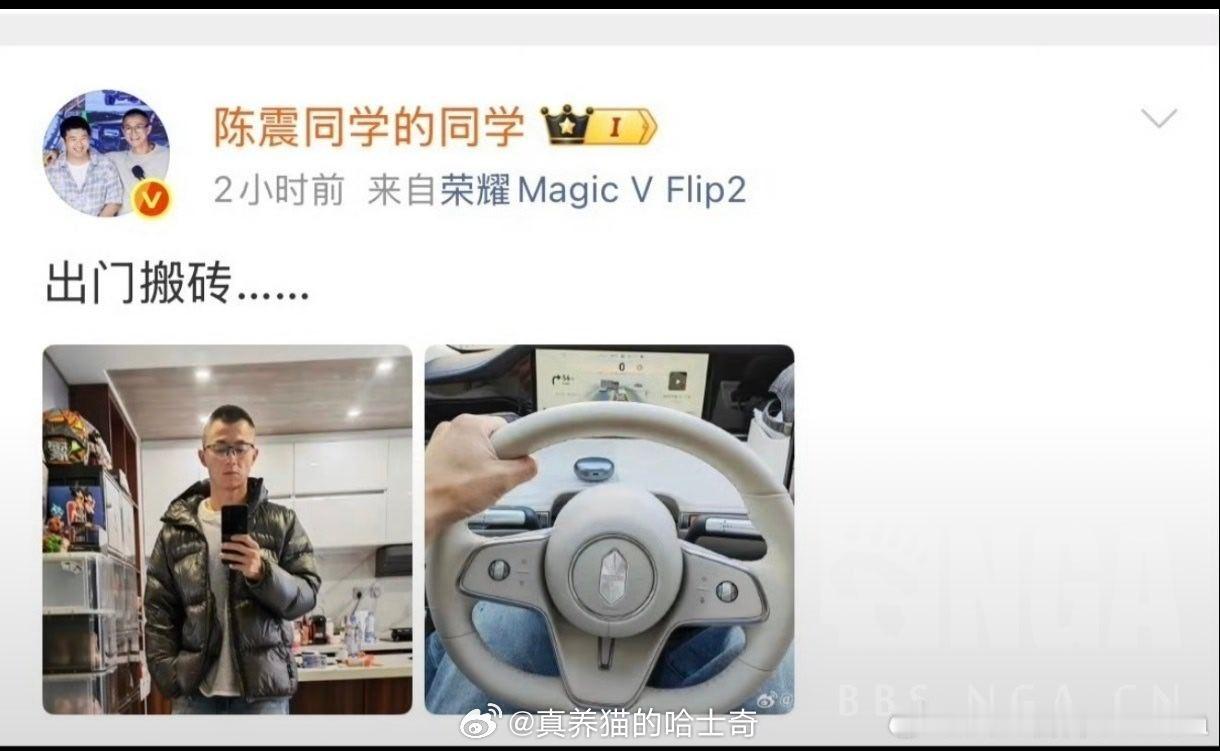 首先陈震这个是享界不是尊界。其次呢，骂人起外号网上也很常见，但是你这什么仇什么怨