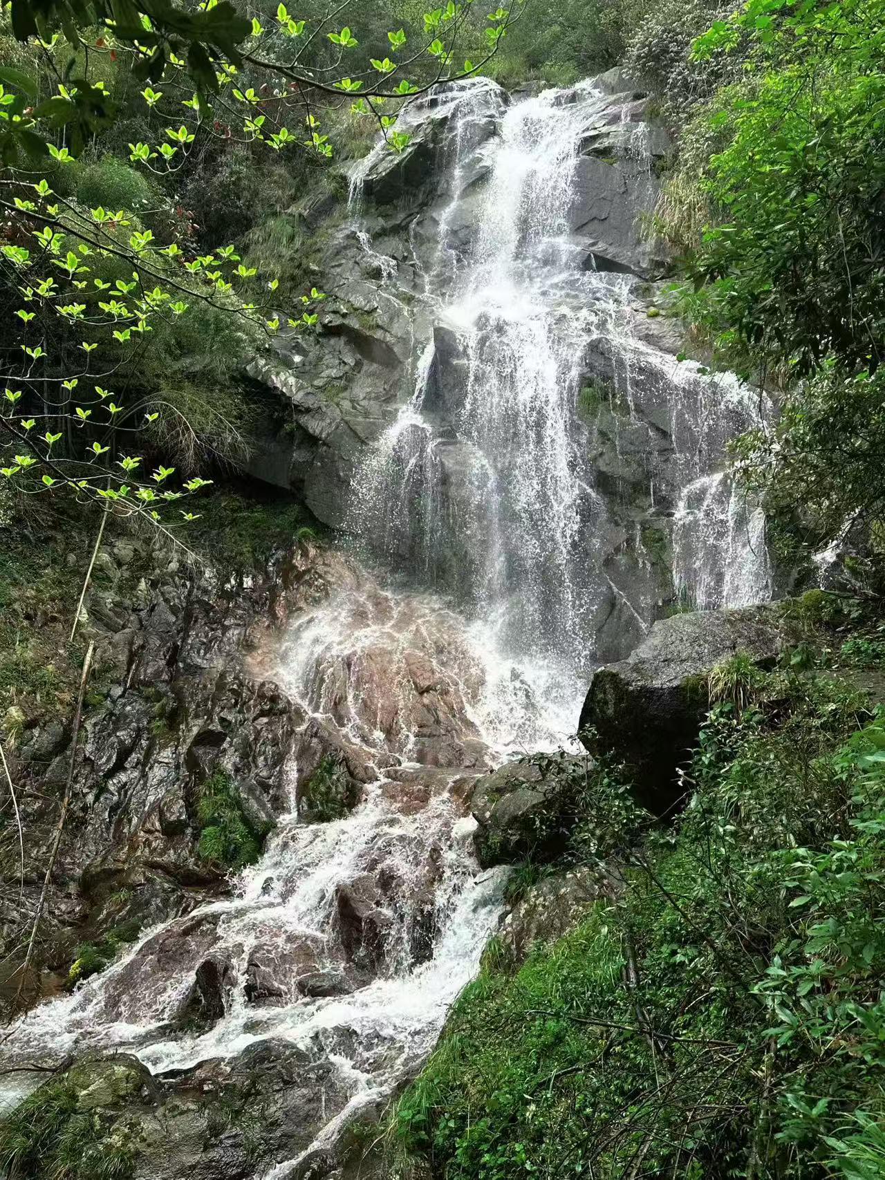 湖南春日赏花，浏阳大围山美景游！湖南春日顶流花海🌷终于奔赴大围山这场春日盛宴