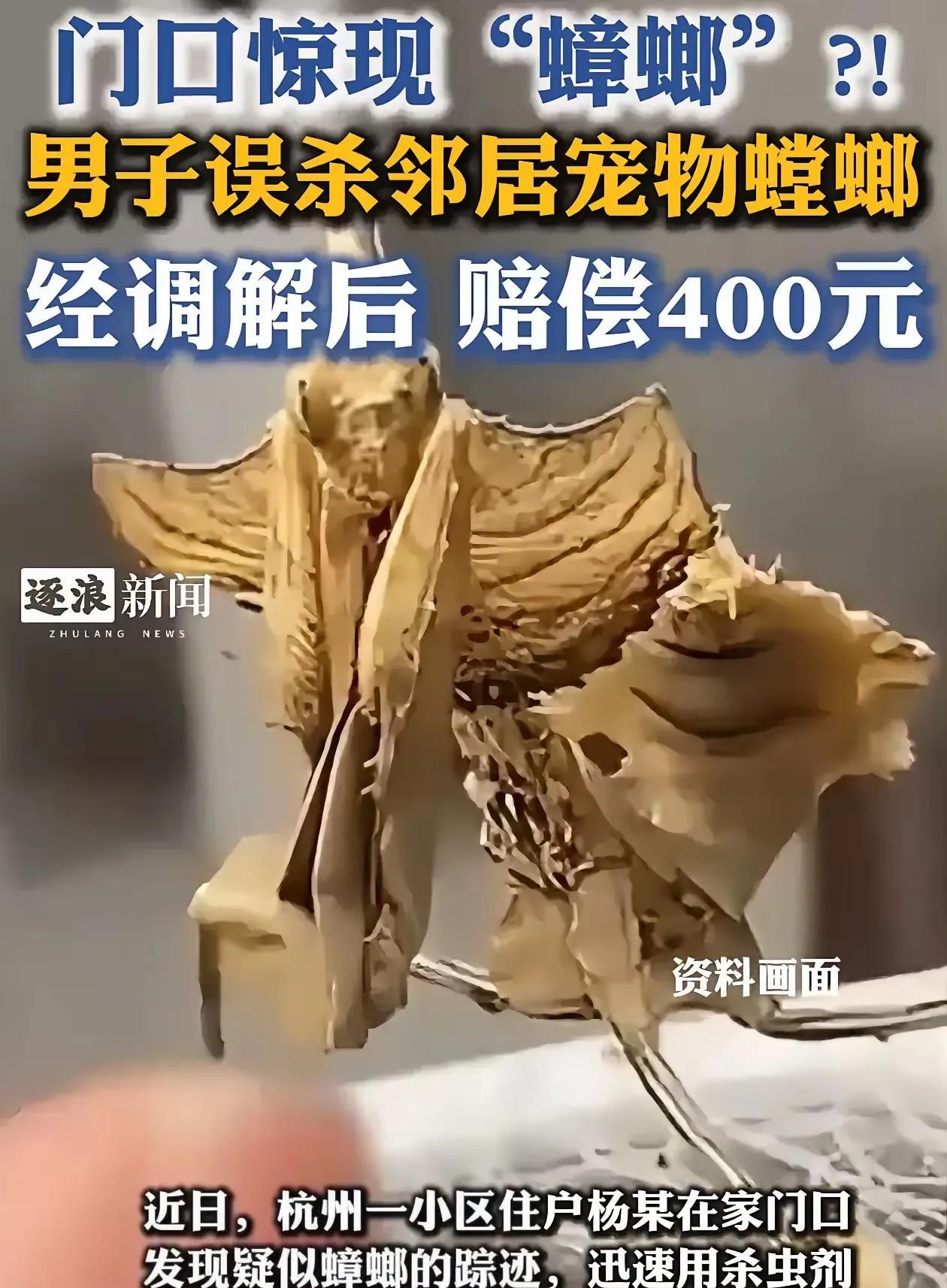 “解释不清了！”浙江，杨某看到家门口有虫子，掏出杀虫剂就是一顿喷，结果邻居却找上