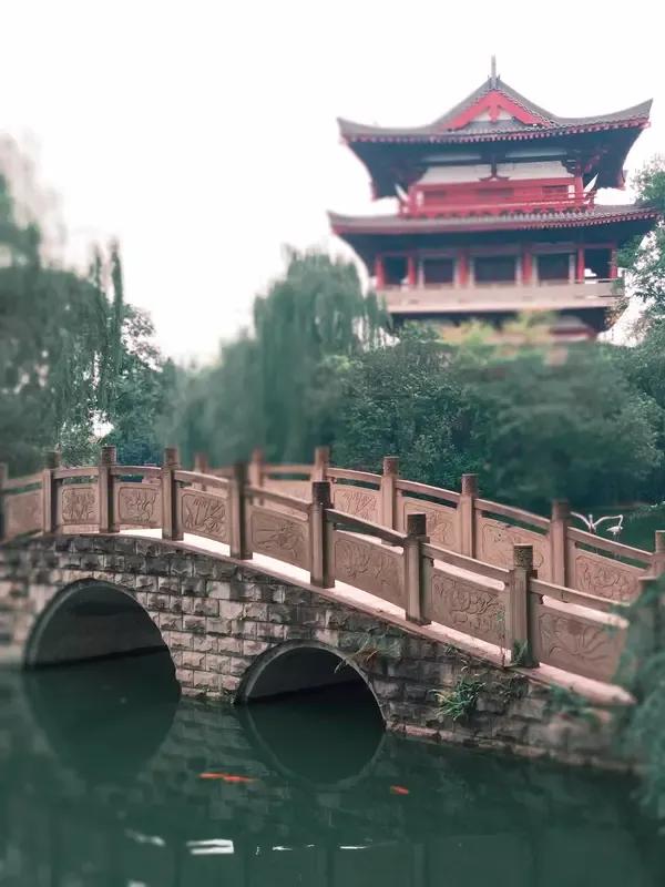 同事高老师，五十八岁了，教了一辈子历史课。或许是他老了的缘故吧，学生们根本不怕他