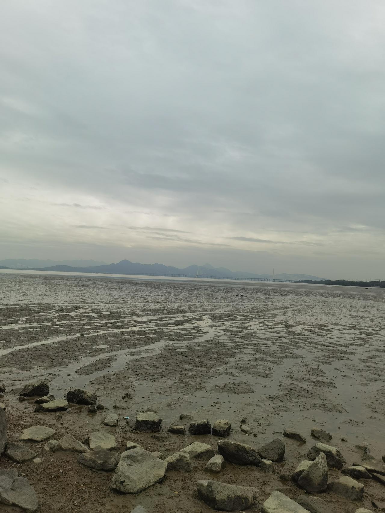 一个58岁的华人程序员在加拿大写算法，他说再写几年写不动了就找个公务员的活干，拿