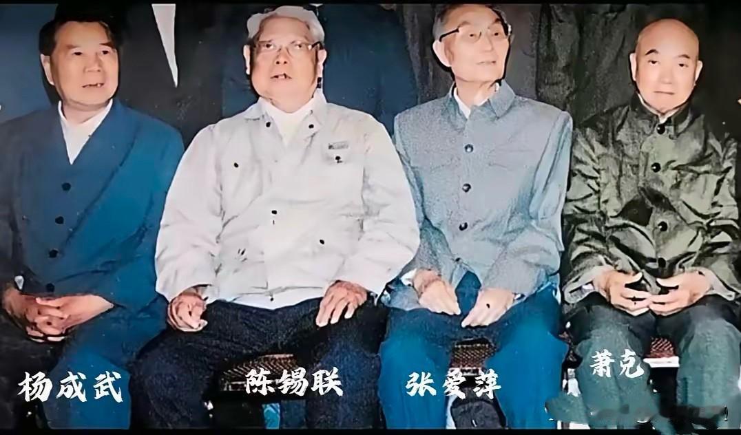 四位开国上将晚年相聚一起1996年5月，这一年是长征胜利60周年，上海电视台