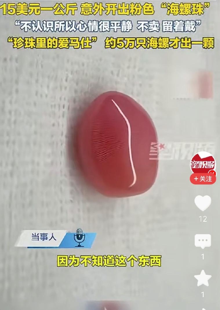 赚麻了！一名女子在加勒比海沿岸花15美元一公斤买了些海螺回家炖汤，剖螺肉的时候，
