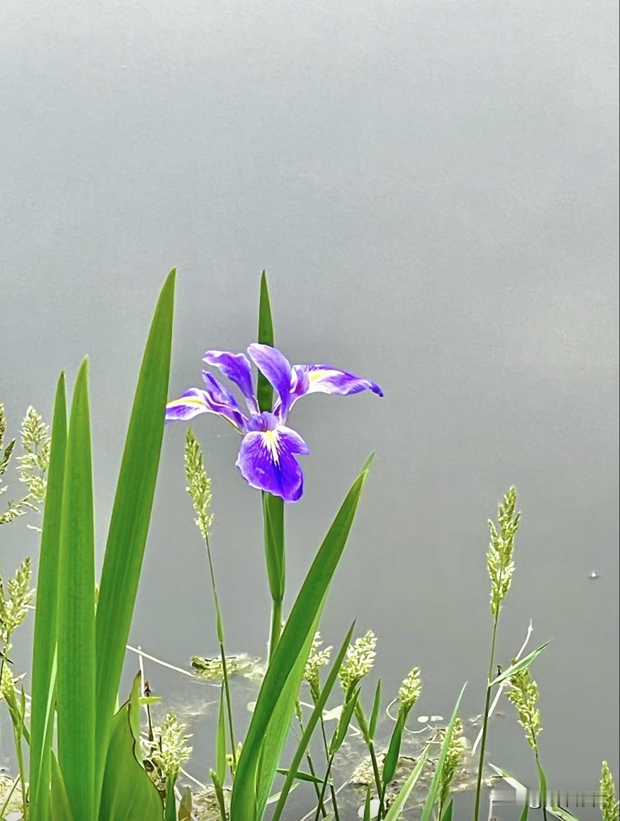 深夜写字楼的电梯突然停滞，轿厢里的女主人蜷缩在角落，手机没电，求救无门，33小时