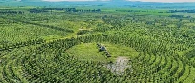 就凭这两张照片，中方就敢告诉白宫：任何战争美国都别想赢！南海争端由来已久，美军