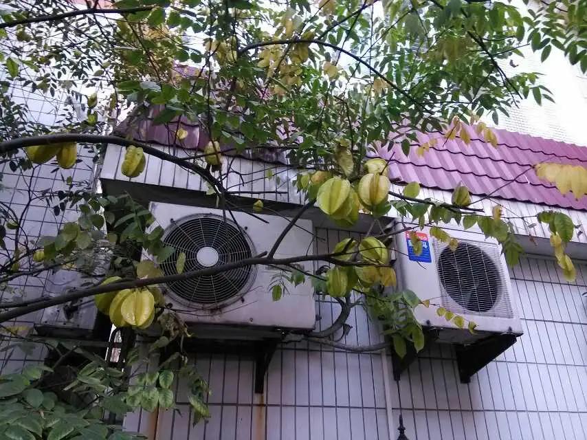 分享一张证明你来过广州的照片这就是我广州的家，尽管我家只是广州海珠区的城中村，但