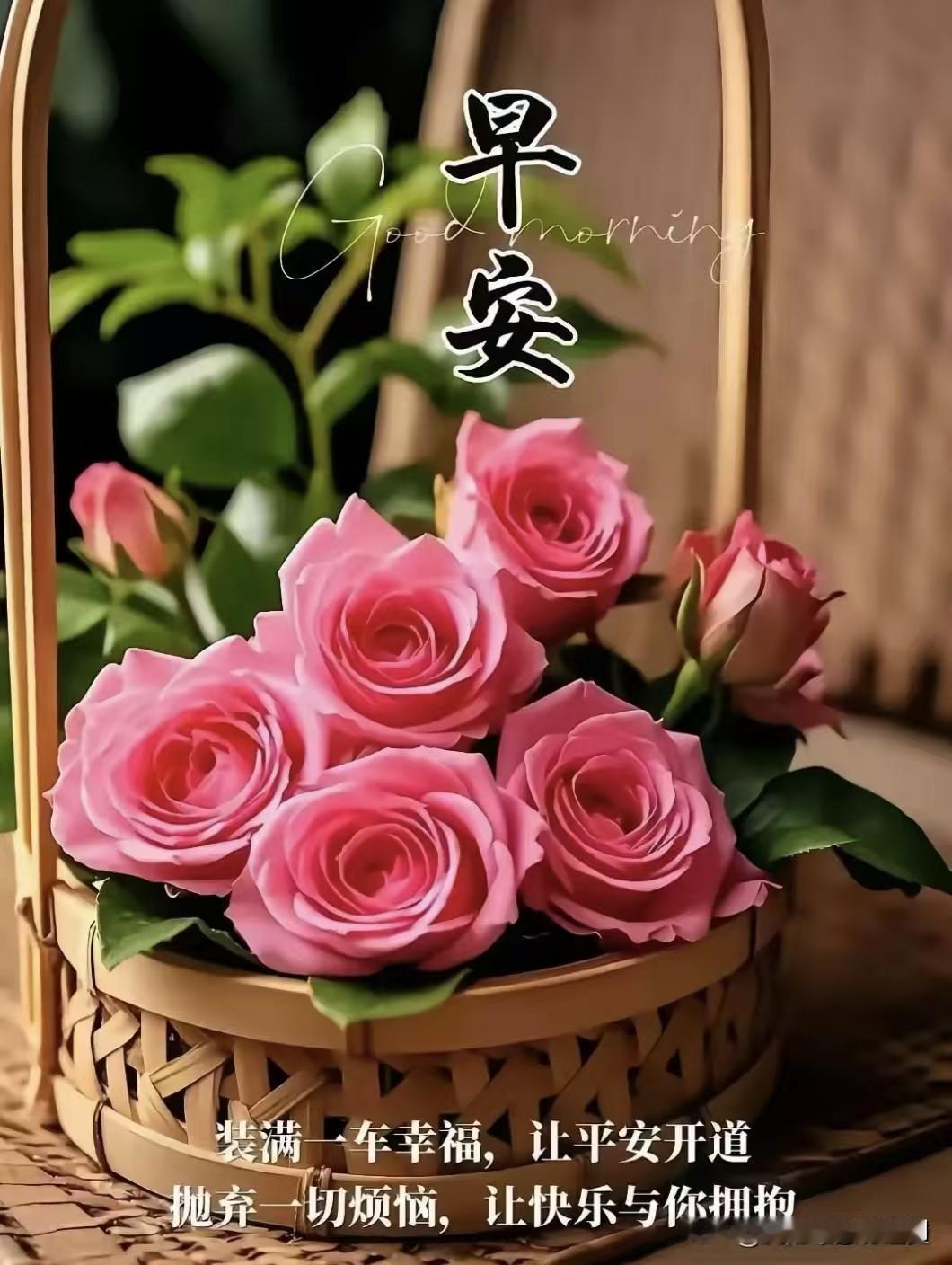 晨光微露，心随云动。生活琐碎中藏着诗意，一杯茶、一本书，皆是温暖慰藉。愿将此刻宁