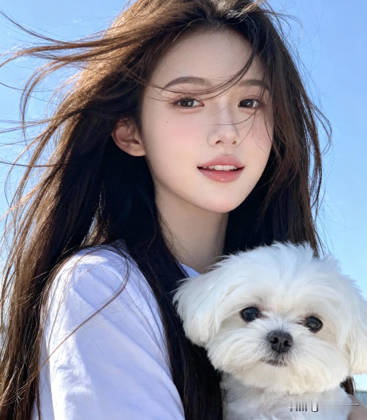 风拂美人面，狗伴佳人行。