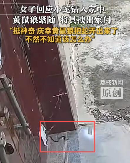 “万万没想到！”安徽宿州，一条小蛇从门缝里钻入了女子家中，没想到的是，小蛇刚爬进