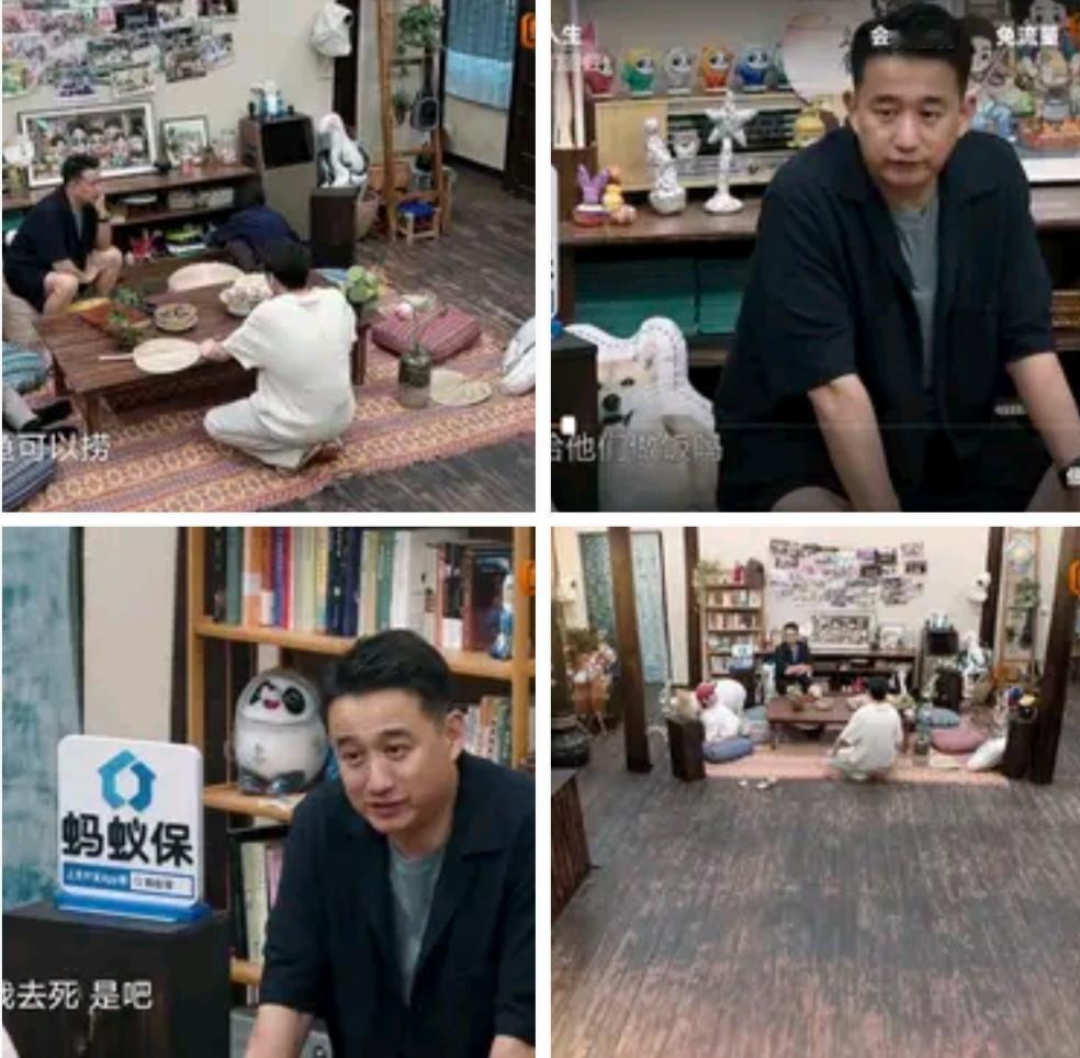 《向往的生活8》昨晚开播啦！这一季和以前可大不一样，黄磊跟彭彭吐槽，这季没地种没