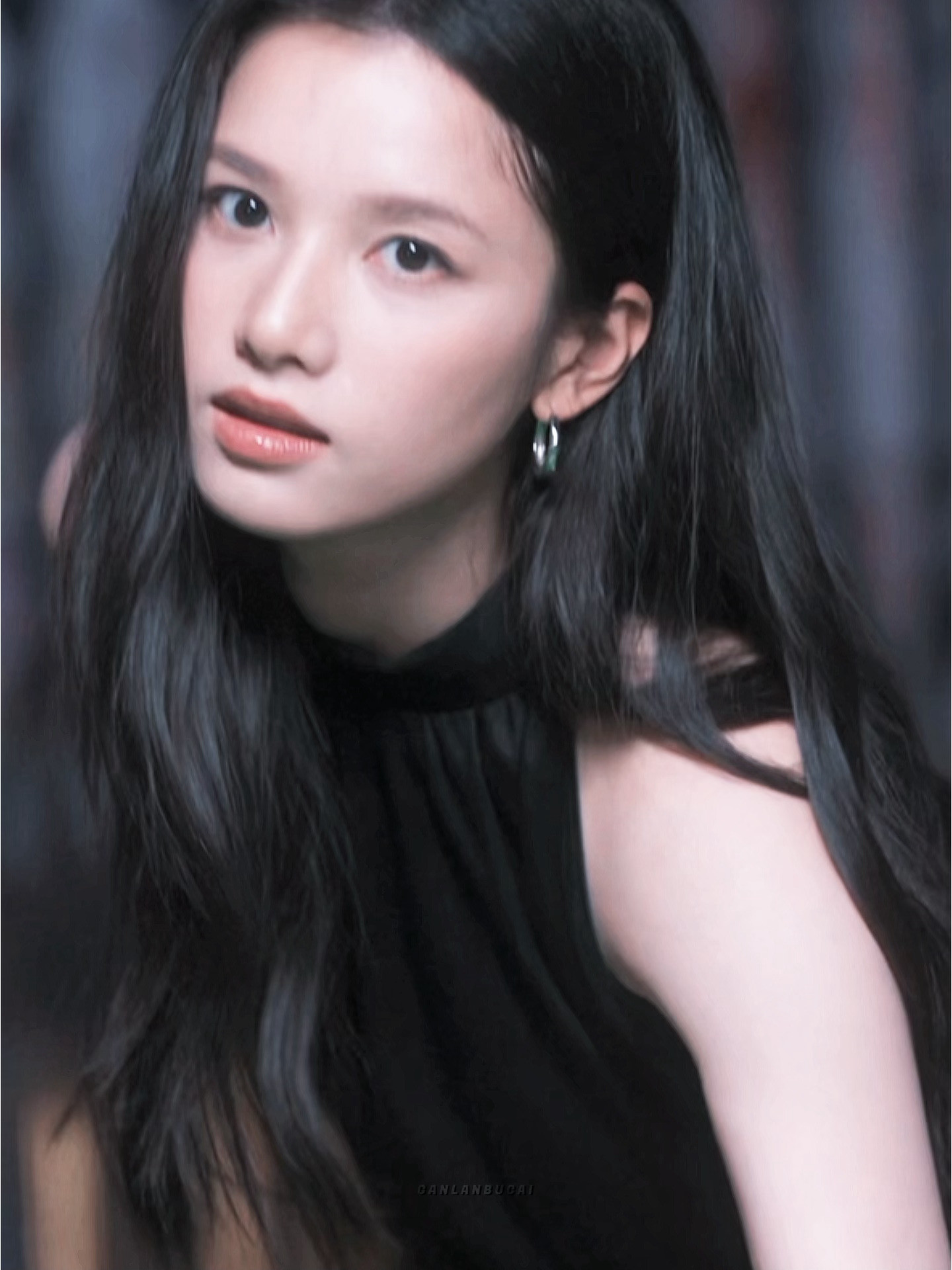 所有人感受这个苗靖·张婧仪野狗骨头