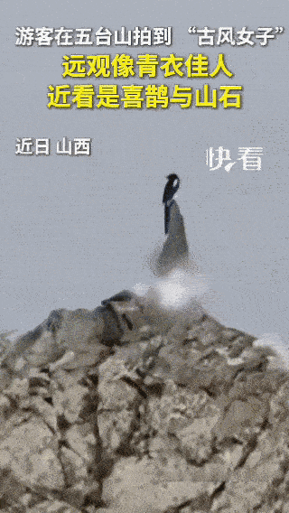 太治愈了！山西五台山山间，游客偶遇神奇一幕，远看是伫立山间的古风青衣女子，走近细