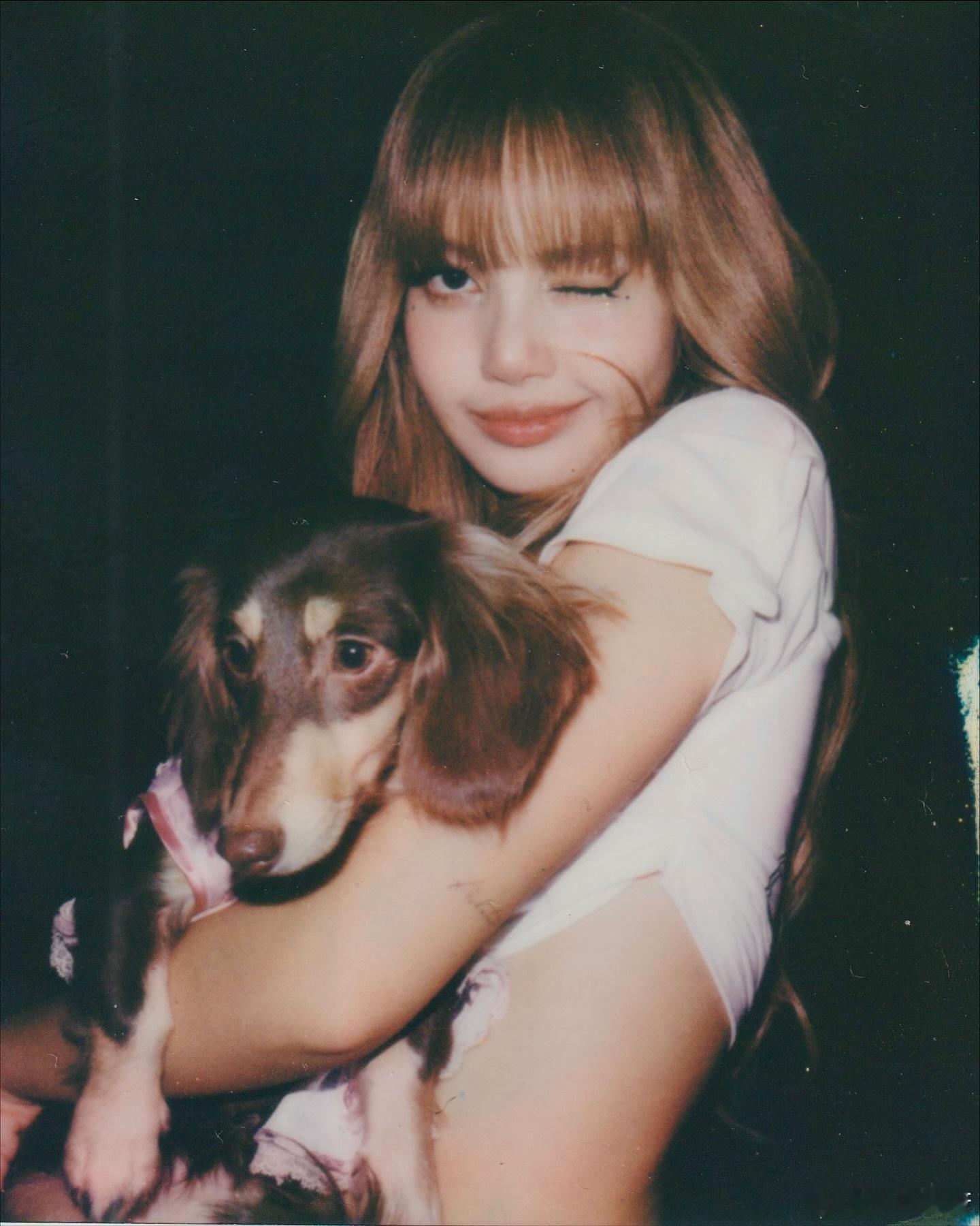 看到这张直接梦回狗狗莎Lisa时间的参照物是什么​​​