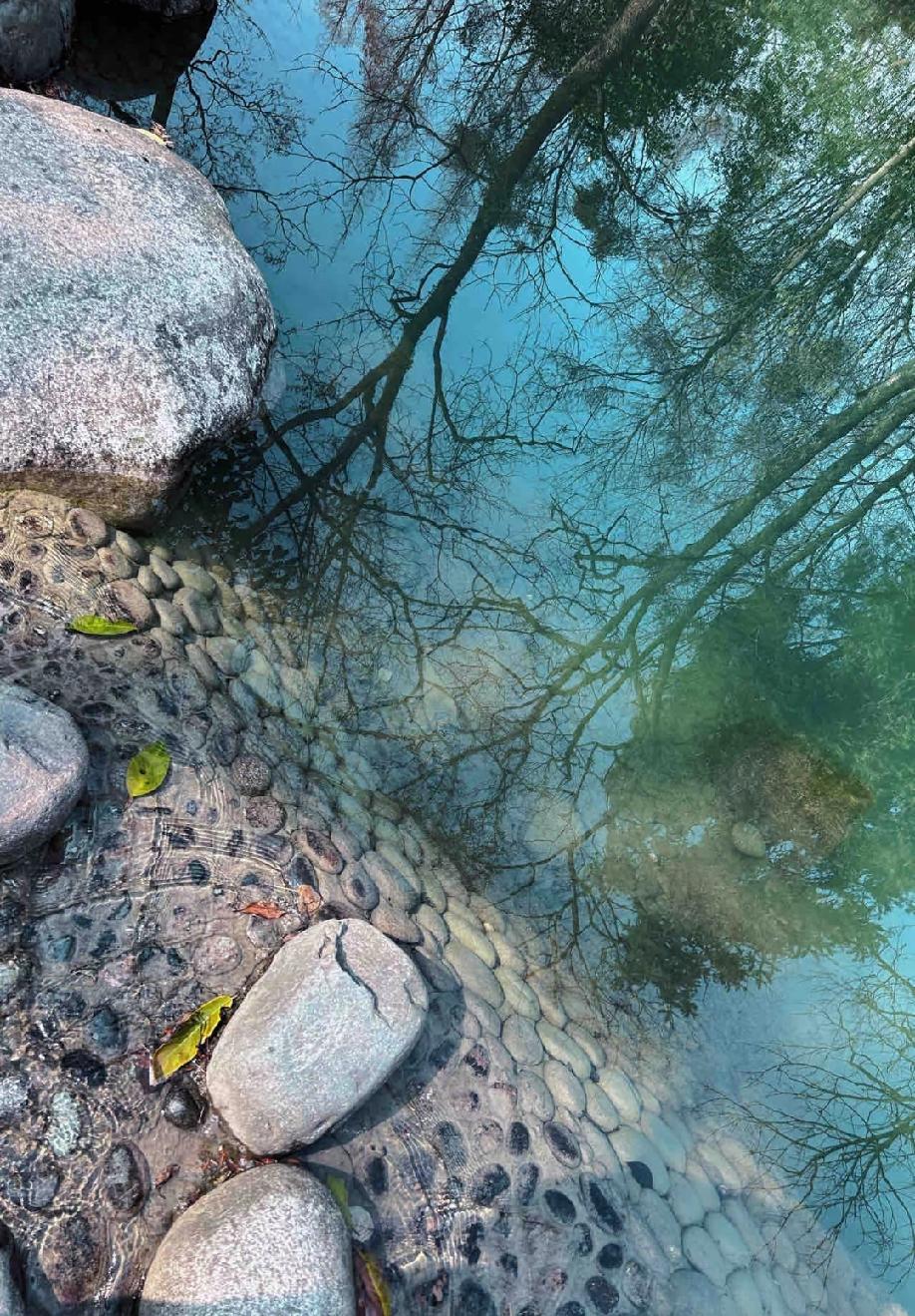 一位医生的台词：“得一些病的人，都有一个人在身边折磨他。这个人可能是他的父母，